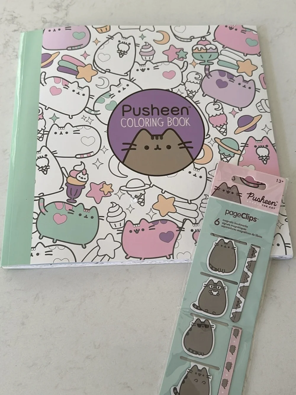 Pusheen Coloring Book with Mint and Pink Accents